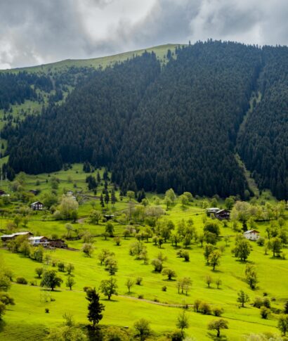Aerial shot of the village houses on the beautiful grass covered fields An aerial shot of the village houses on the beautiful grass covered fields